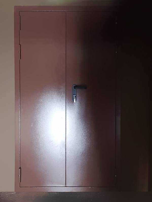 Нестандартная двупольная дверь (ул. Звенигородская, 5)