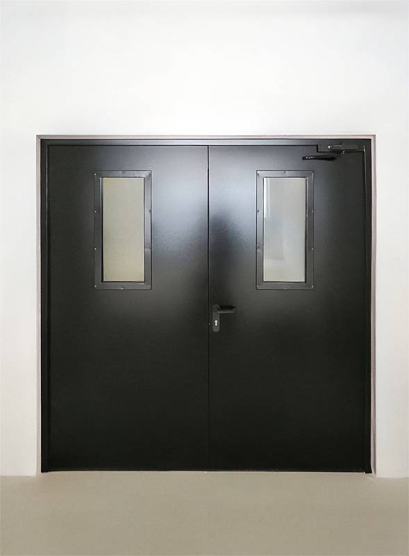 Остеклённая двустворчатая дверь Остеклённая двустворчатая дверь